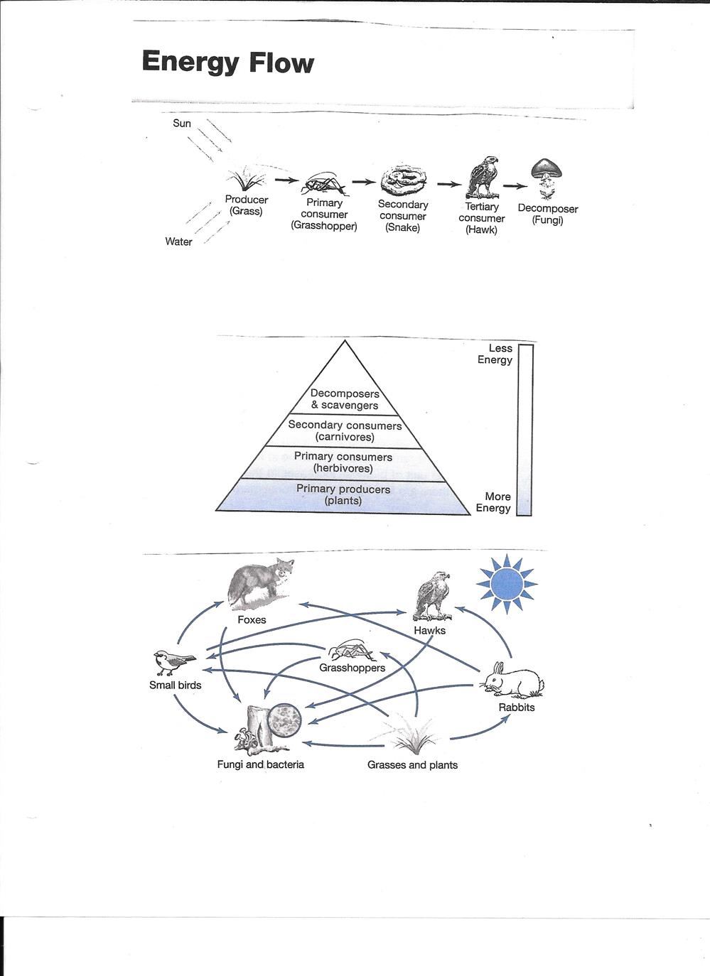Energy Flow